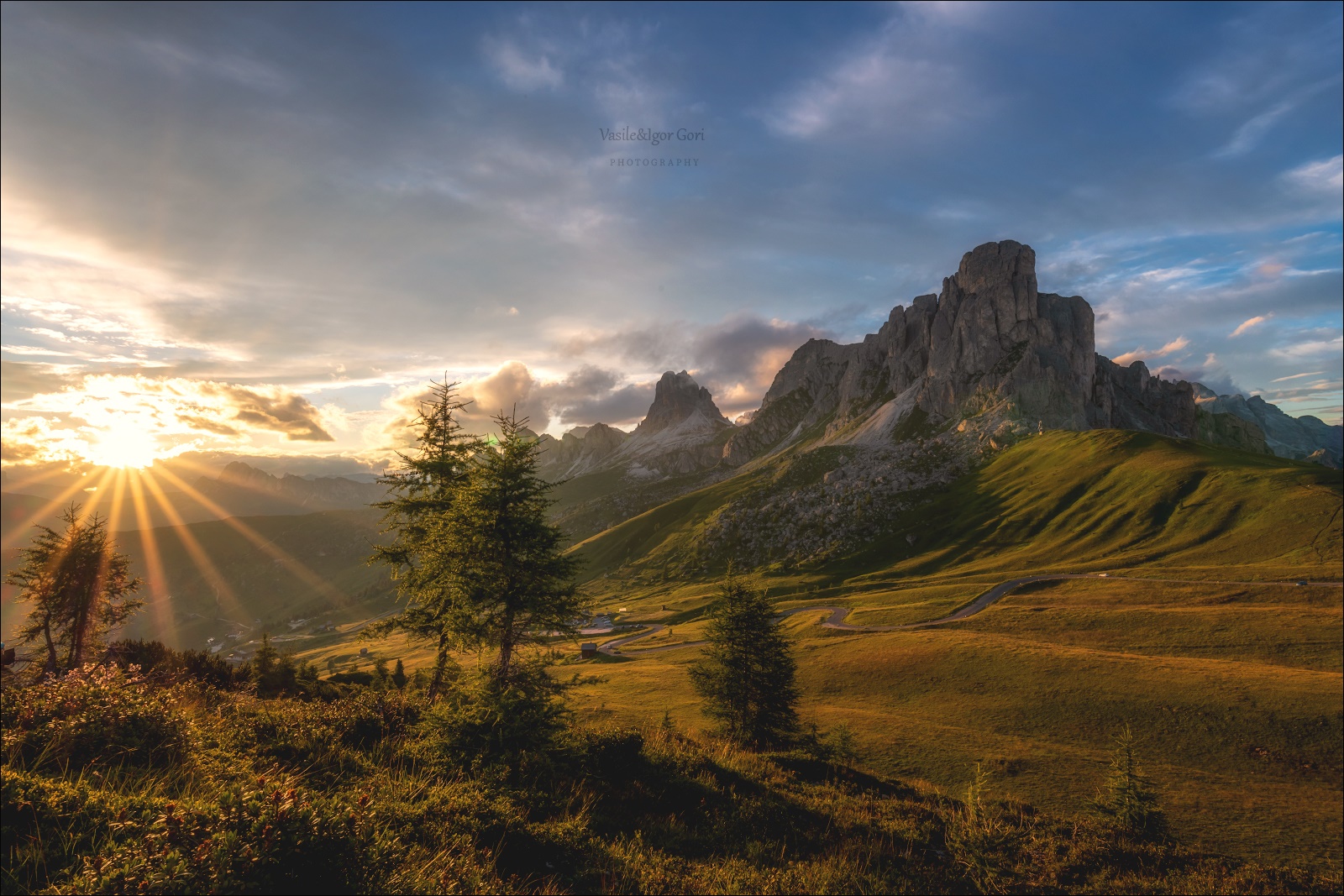 1600x1067, 624 Kb / природа, горы, солнце, блики, ель, елка