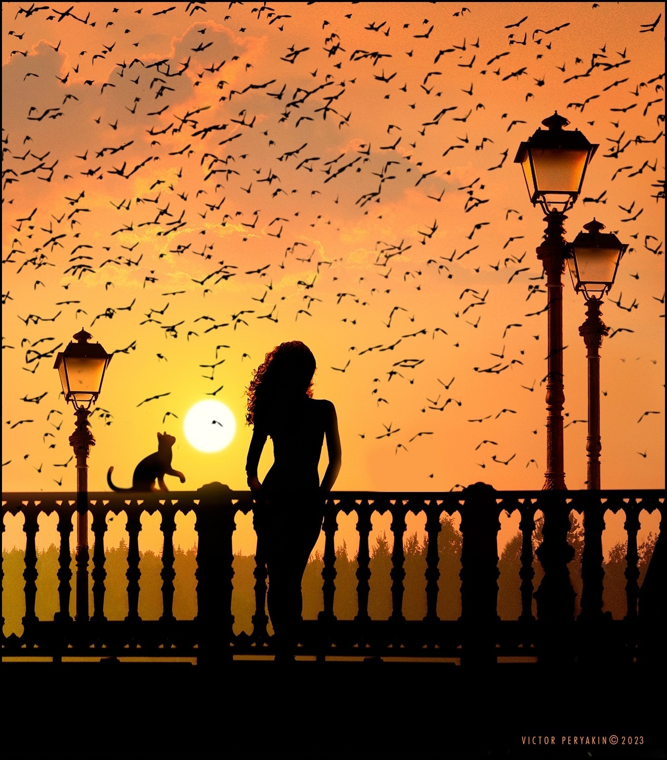 1318x1500, 607 Kb / силуэт, кот, кошка, фонарь, птицы