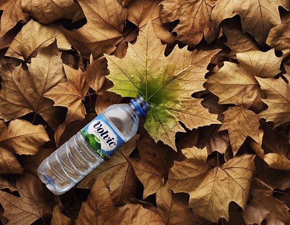 567x440, 97 Kb / бутылка, листья