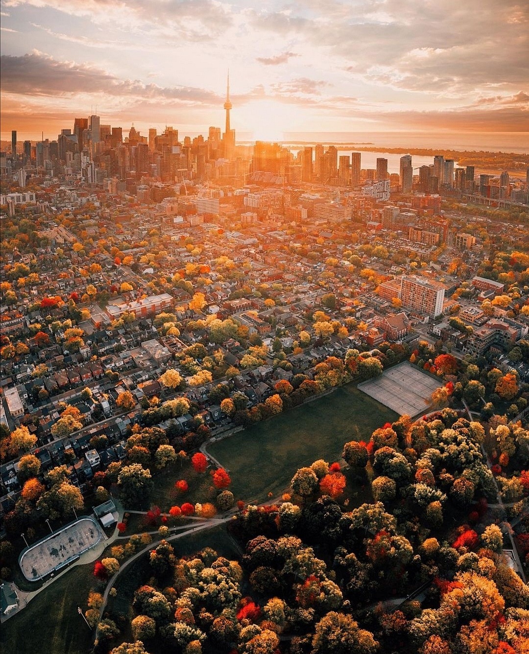 1080x1335, 611 Kb / Канада, Онтарио, Торонто, осень, город, парк