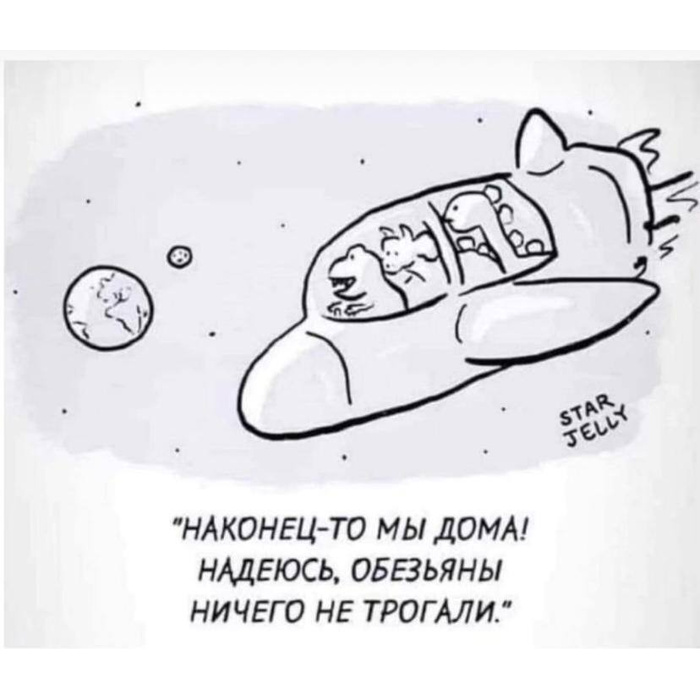 700x700, 77 Kb / Обезьяны, динозавры, дом, Земля, планета, корабль, космос