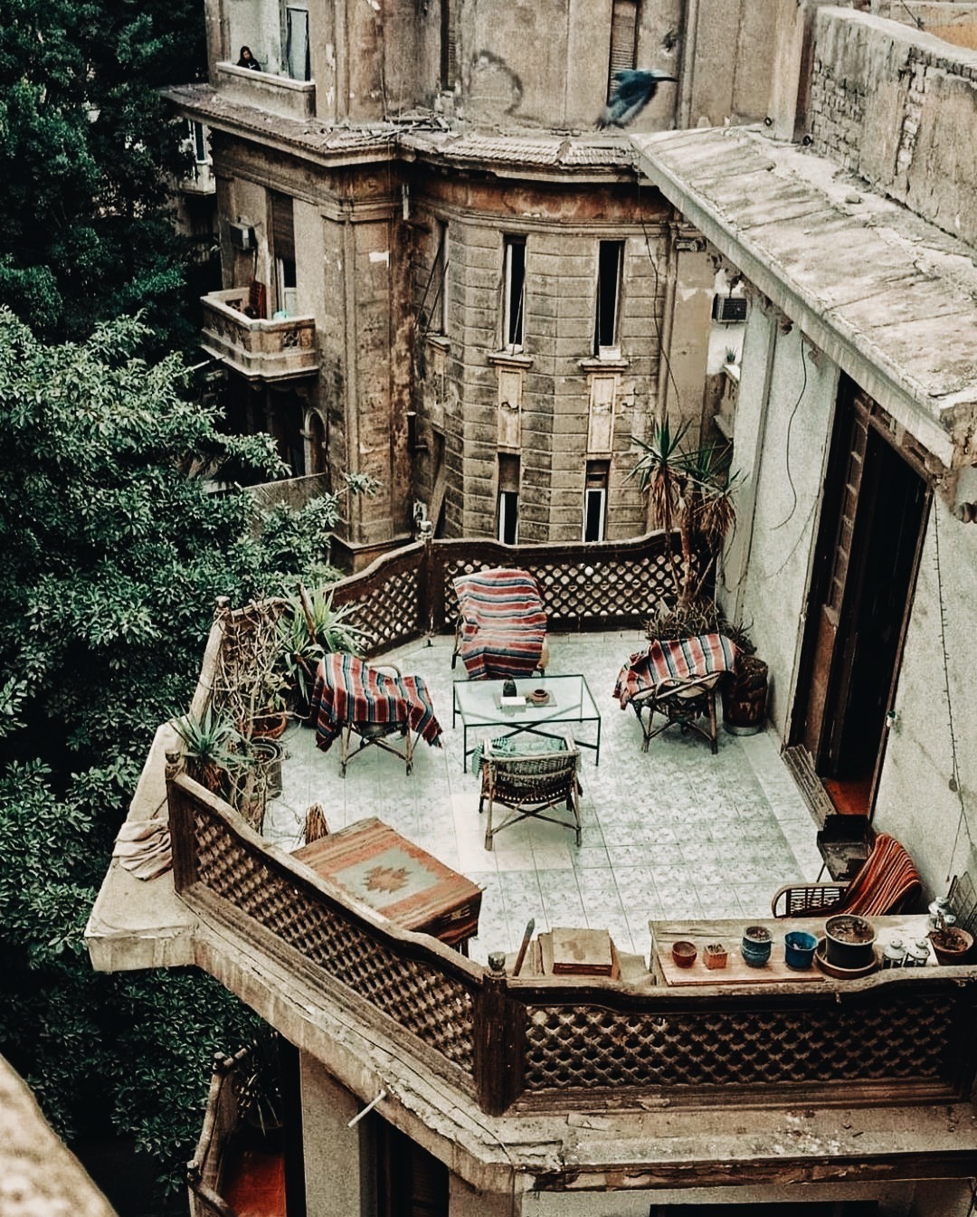 1080x1345, 510 Kb / Балкон, кресло, стол, пальма, горшок, цветы