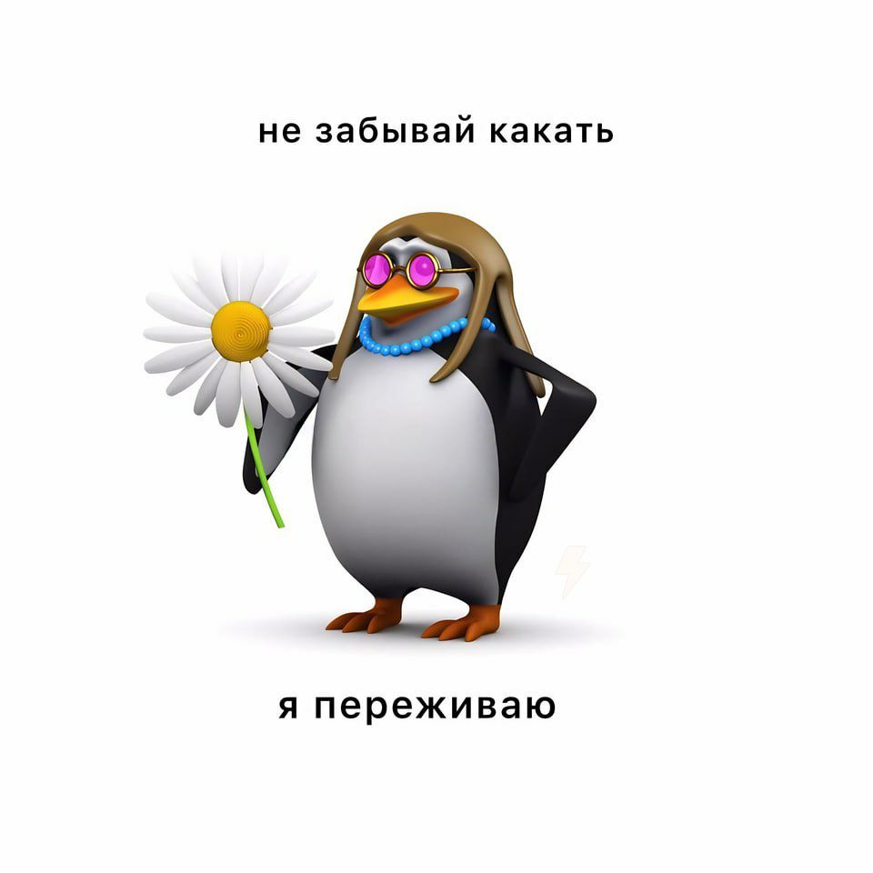 960x960, 34 Kb / Открытка, пингвин, ромашка