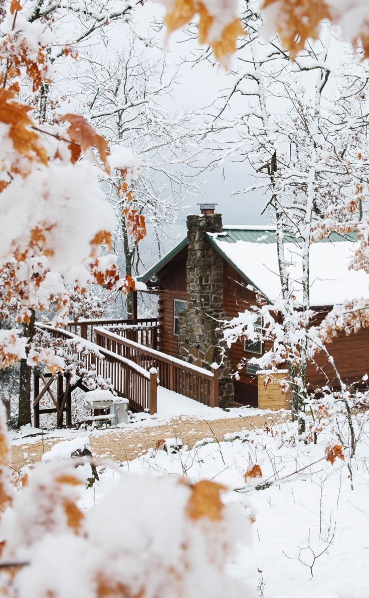 736x1194, 246 Kb / Дом, снег, труба, кирпич, терраса, листья, осень, дерево
