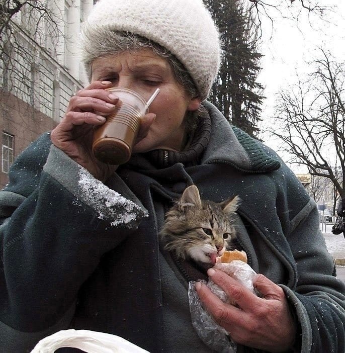 686x702, 200 Kb / Бабушка, кофе, бутерброд, котенок, доброта, милота, зима, тепло