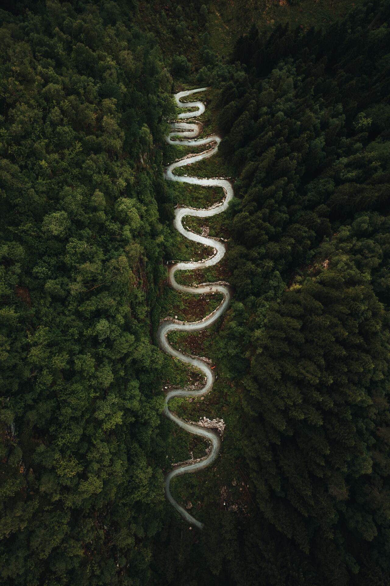 1280x1920, 399 Kb / Дорога, лес, серпантин