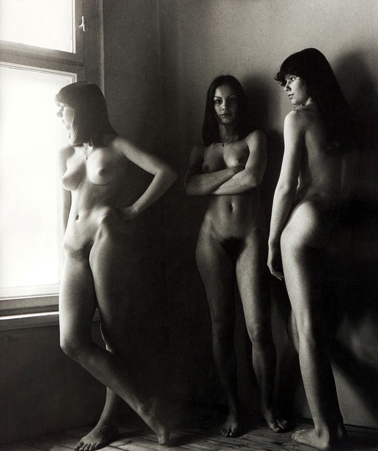 754x900, 166 Kb / ч/б, три, окно, голая, мохнатка