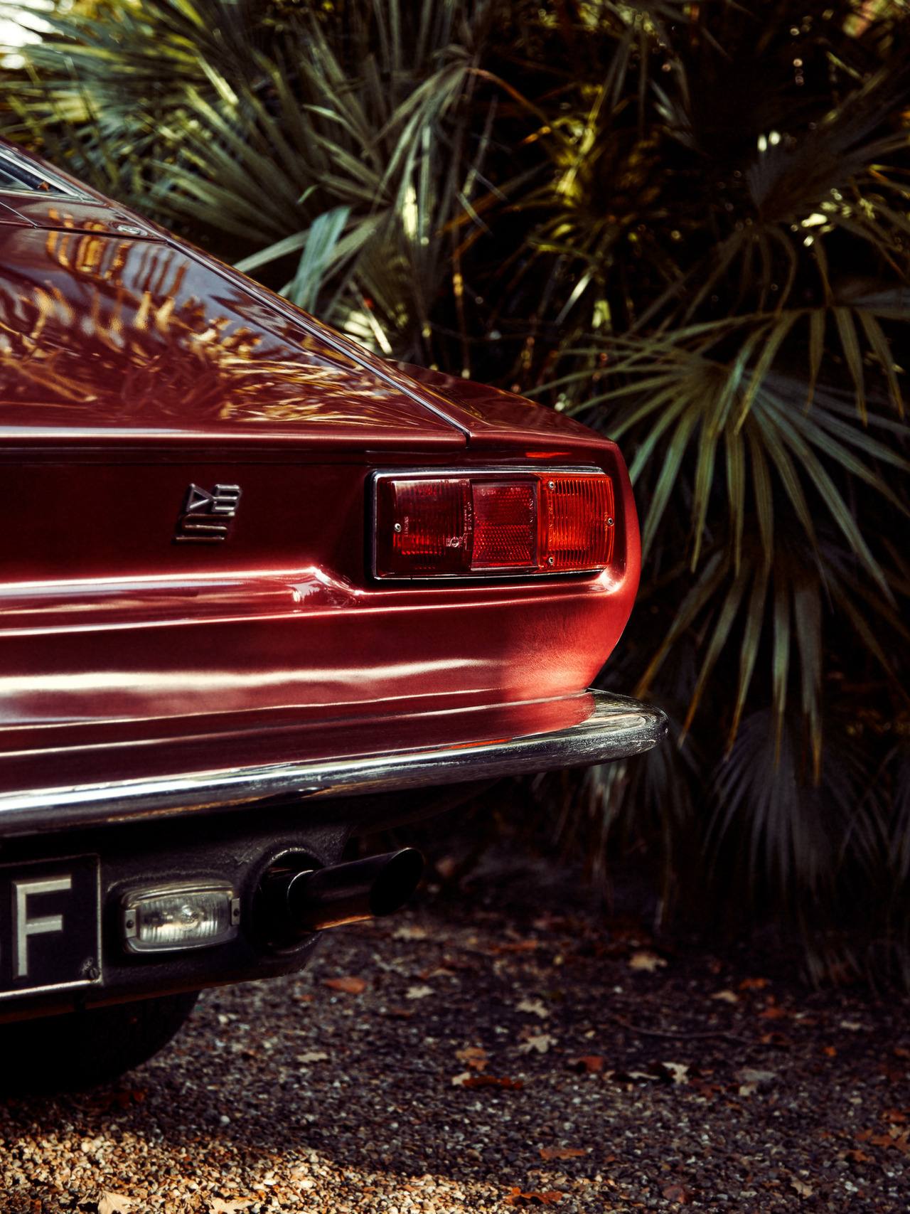 1280x1707, 260 Kb / автомобиль, классика, ретро, пальма, попа