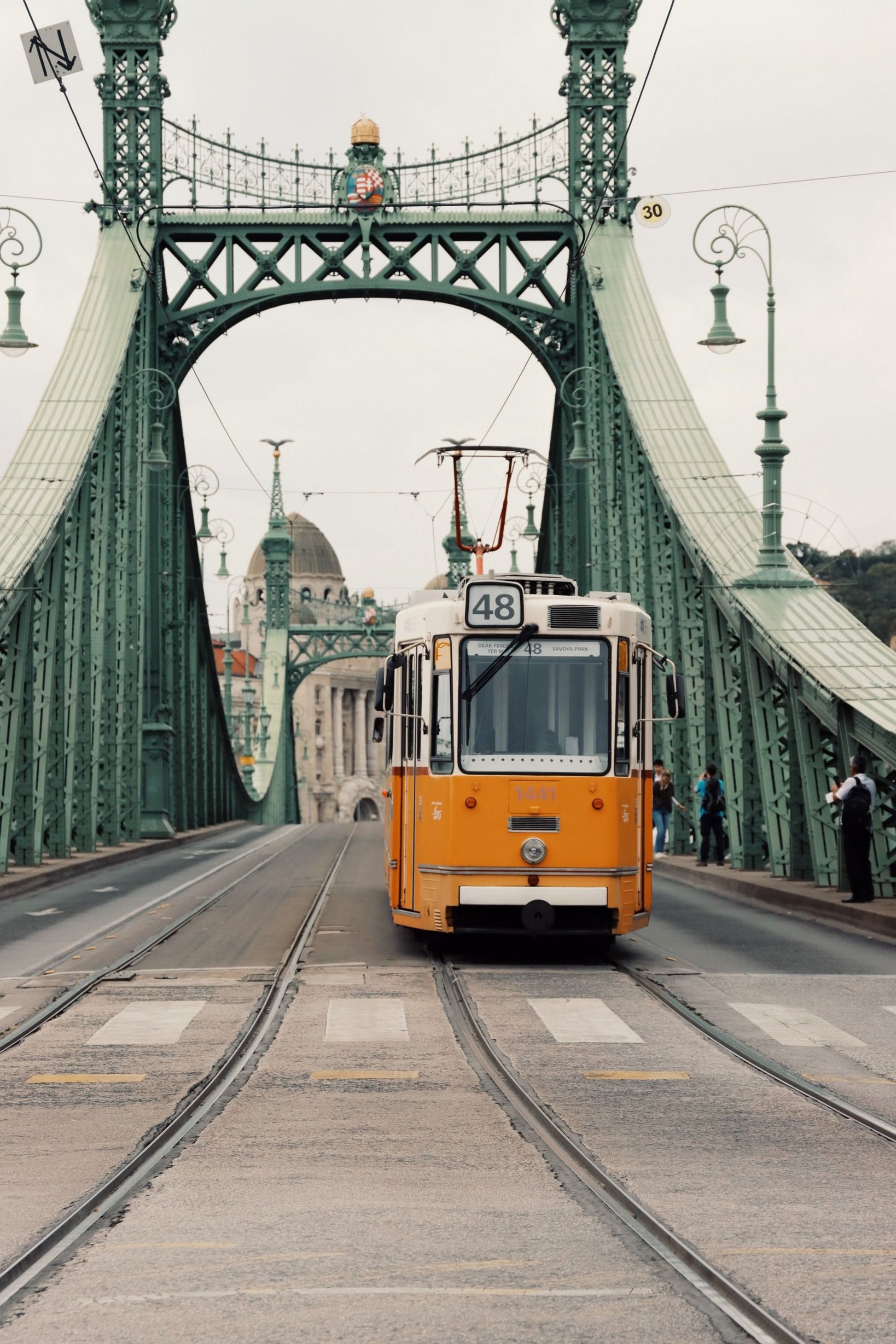 1638x2457, 532 Kb / 48, мост, трамвай, Будапешт, Венгрия, Liberty Bridge, мост свободы, фонарь