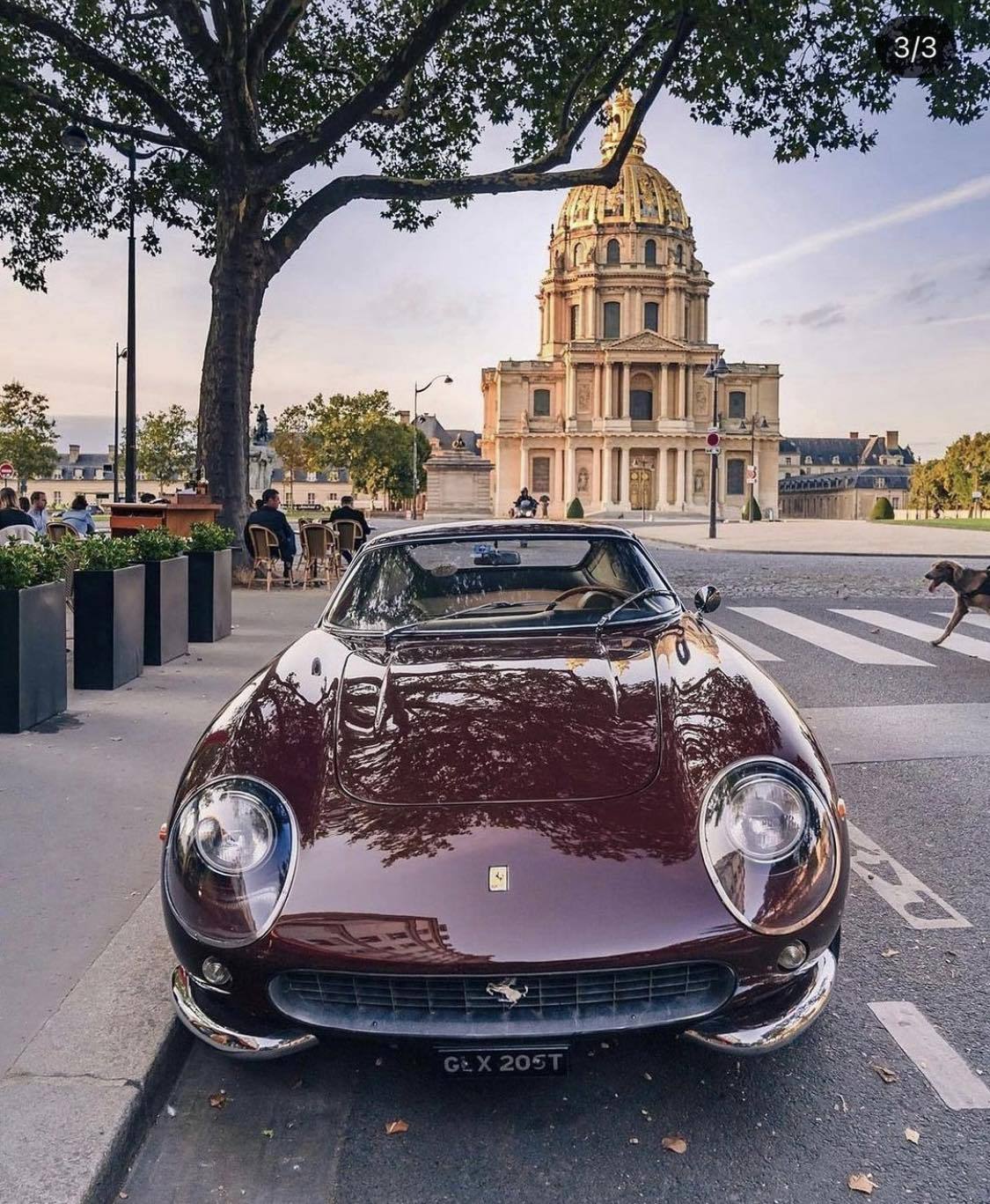 1125x1367, 285 Kb / автомобиль, классика, ретро, Ferrari, Париж, Франция, собака