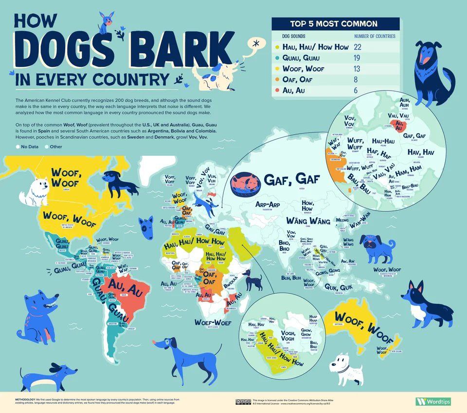 960x848, 168 Kb / Карта, страны, собаки, лай