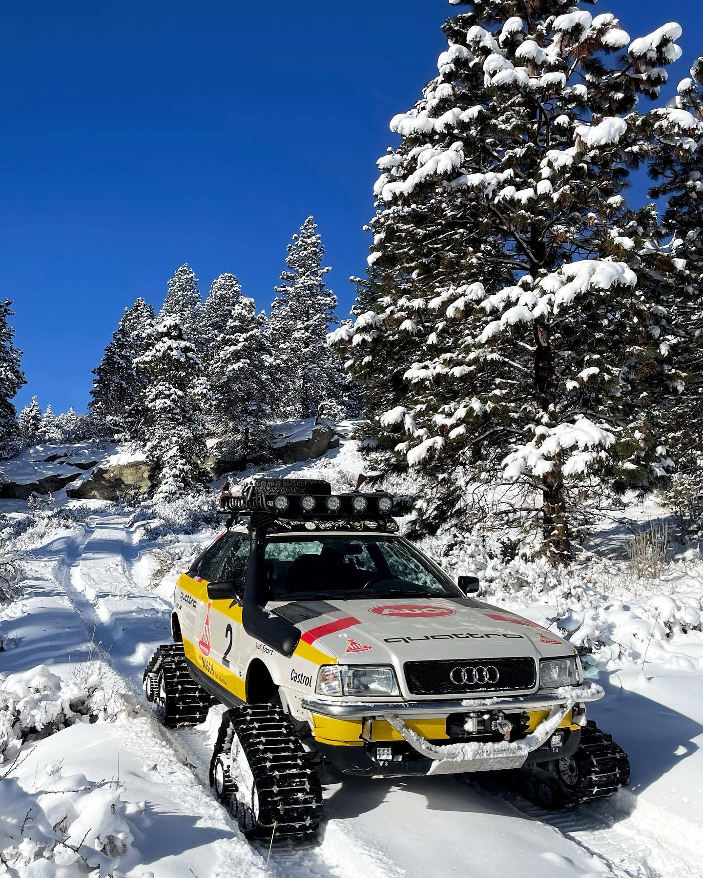 1440x1800, 584 Kb / автомобиль, классика, ретро, audi, снег, гусеницы, дерево, ель