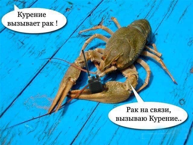 640x480, 82 Kb / рак, курение