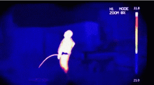 498x275, 598 Kb / прибор ночного видения, дым, струя,  тепловизор