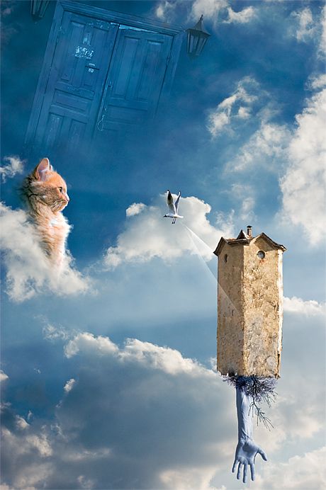 460x692, 47 Kb / фантасмагория