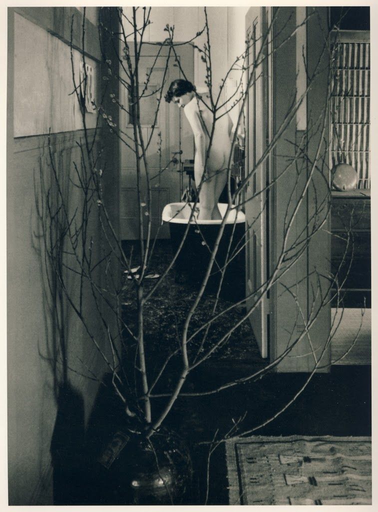 757x1024, 113 Kb / женщина, ванна, дверь, дерево, ветки, ч/б