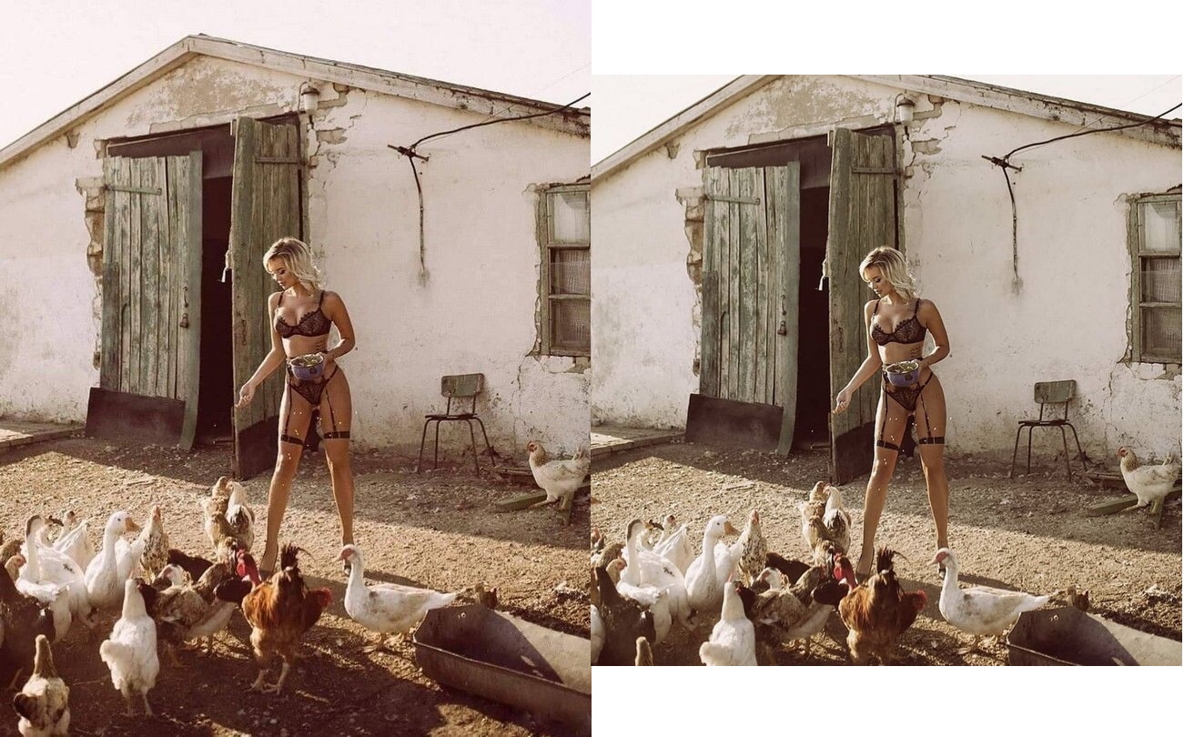 1301x810, 366 Kb / Куры, ферма, бельё, утки