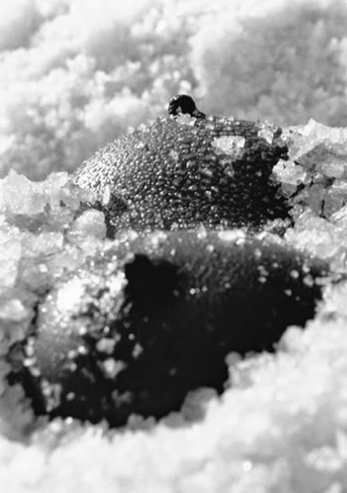 500x710, 50 Kb / сиськи, снег, ч/б