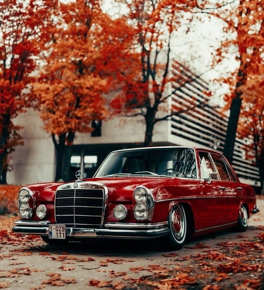 874x960, 179 Kb / автомобиль, классика, ретро, Mercedes, мерседес