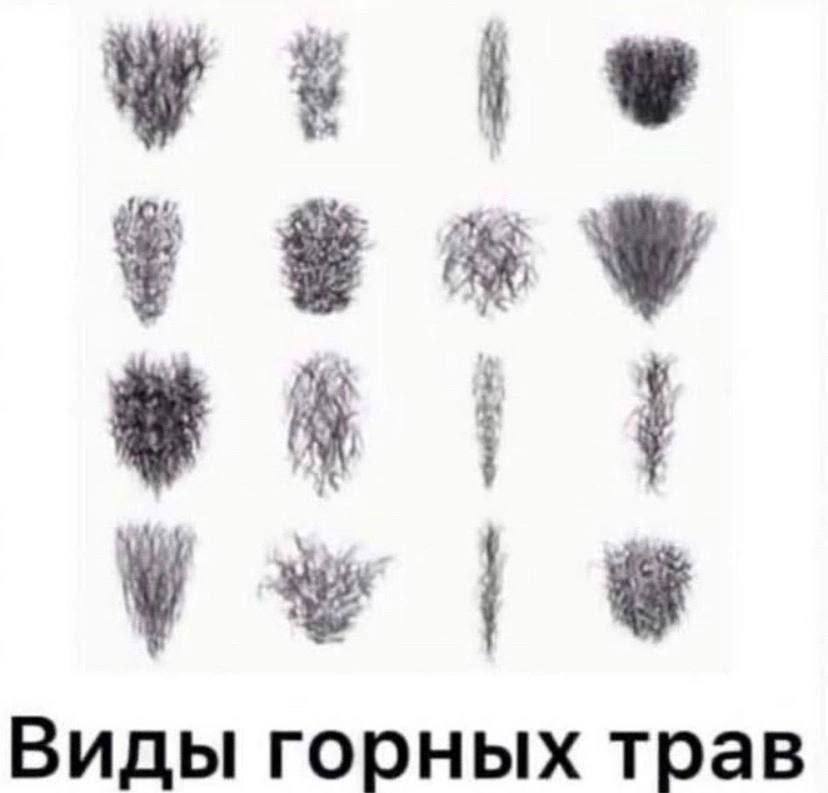 828x793, 36 Kb / Трава