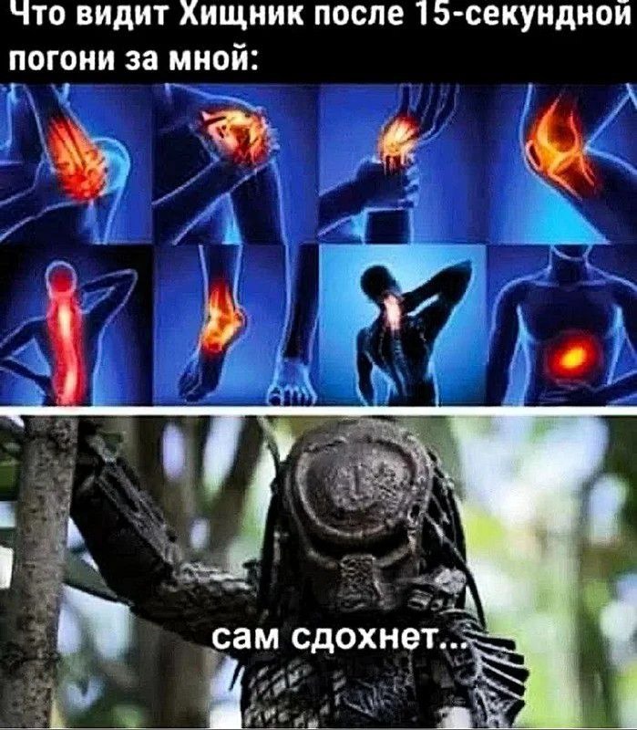 699x800, 147 Kb / Хищник, болезни, суставы, сдохнет, погоня