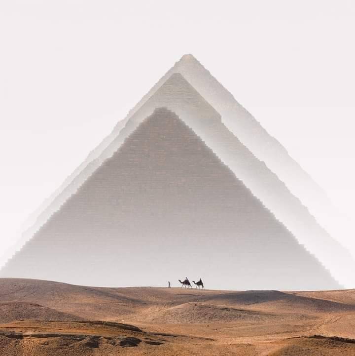 720x721, 29 Kb / Пирамида, Египет, верблюд