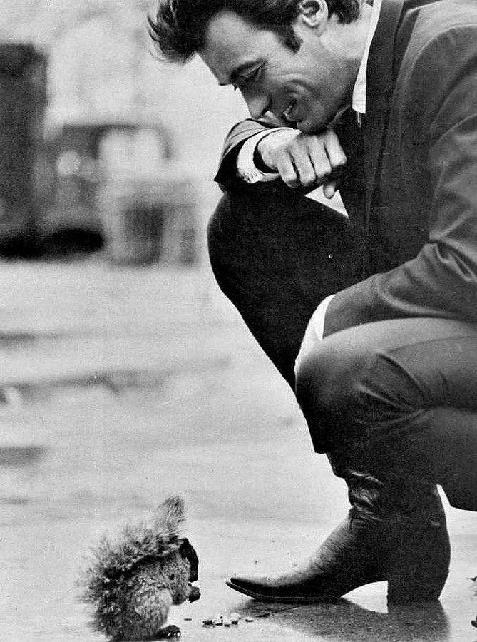 669x900, 106 Kb / Клинт Иствуд, белка, ч/б