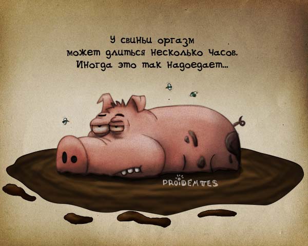 600x479, 63 Kb / свинья, оргазм, грязь