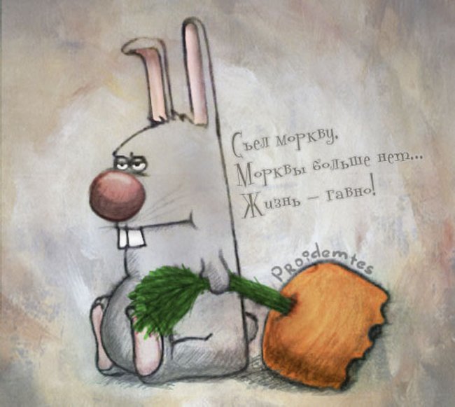 650x581, 70 Kb / кролик, морковка, жизнь