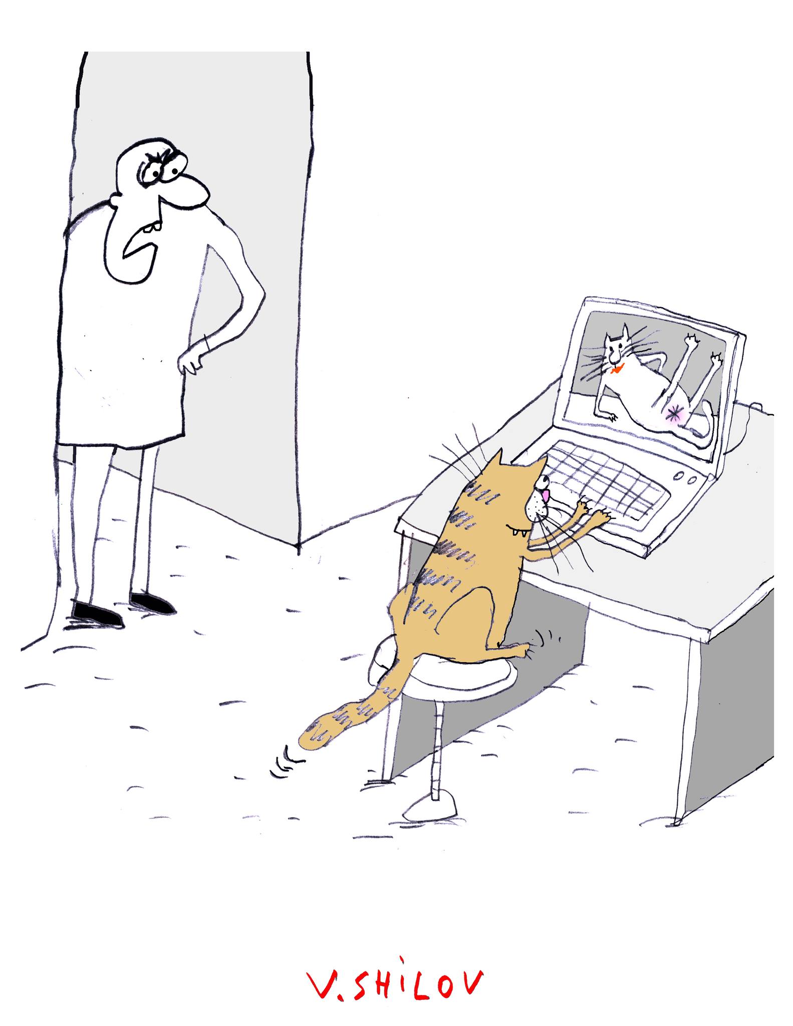 1583x2048, 159 Kb / компьютер, кот, эротика, хозяин разгневанный