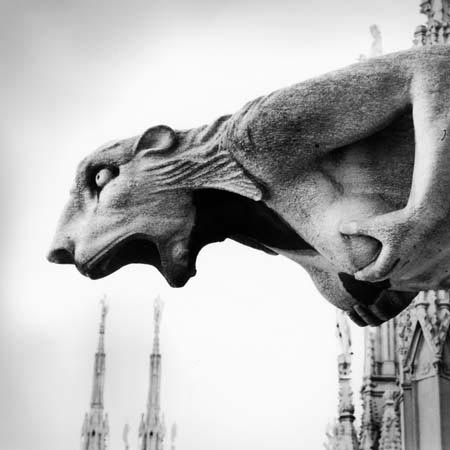 450x450, 24 Kb / горгулья, собор, милан, b/w