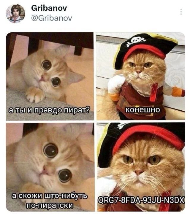 640x728, 83 Kb / Пират, кот