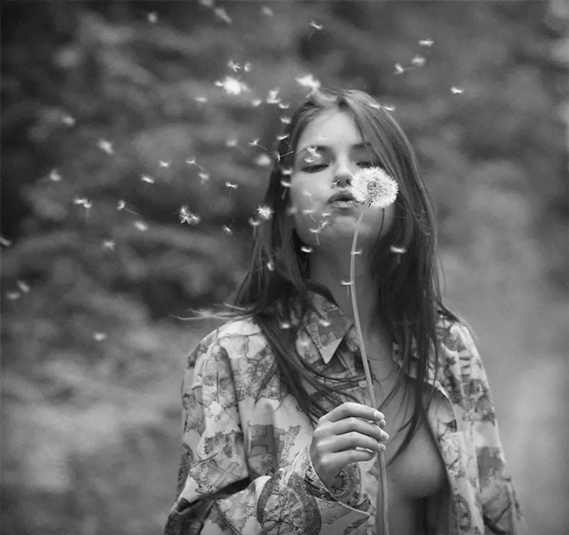 817x768, 61 Kb / Одуванчик, грудь