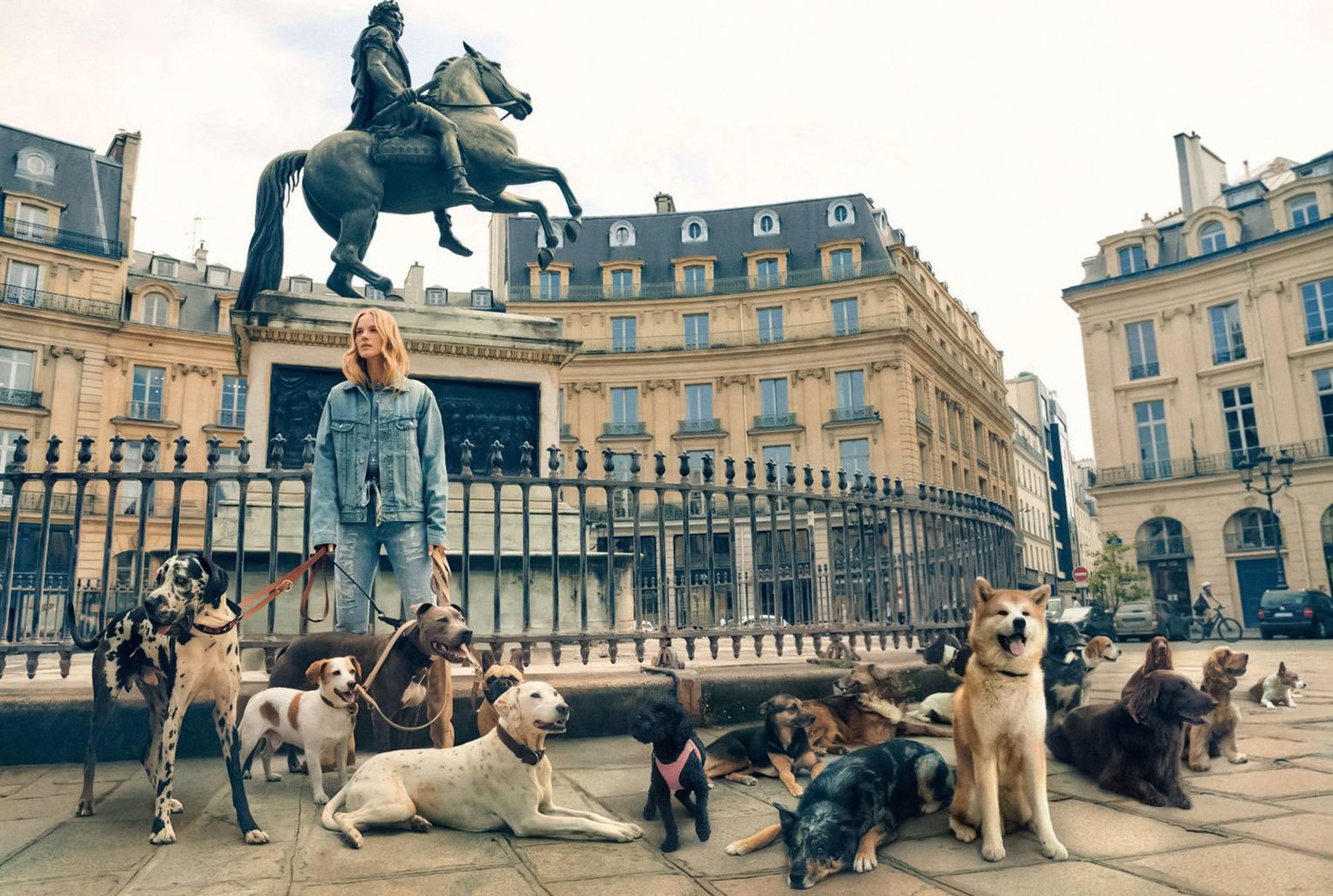 1527x1027, 378 Kb / собака, ограда, памятник