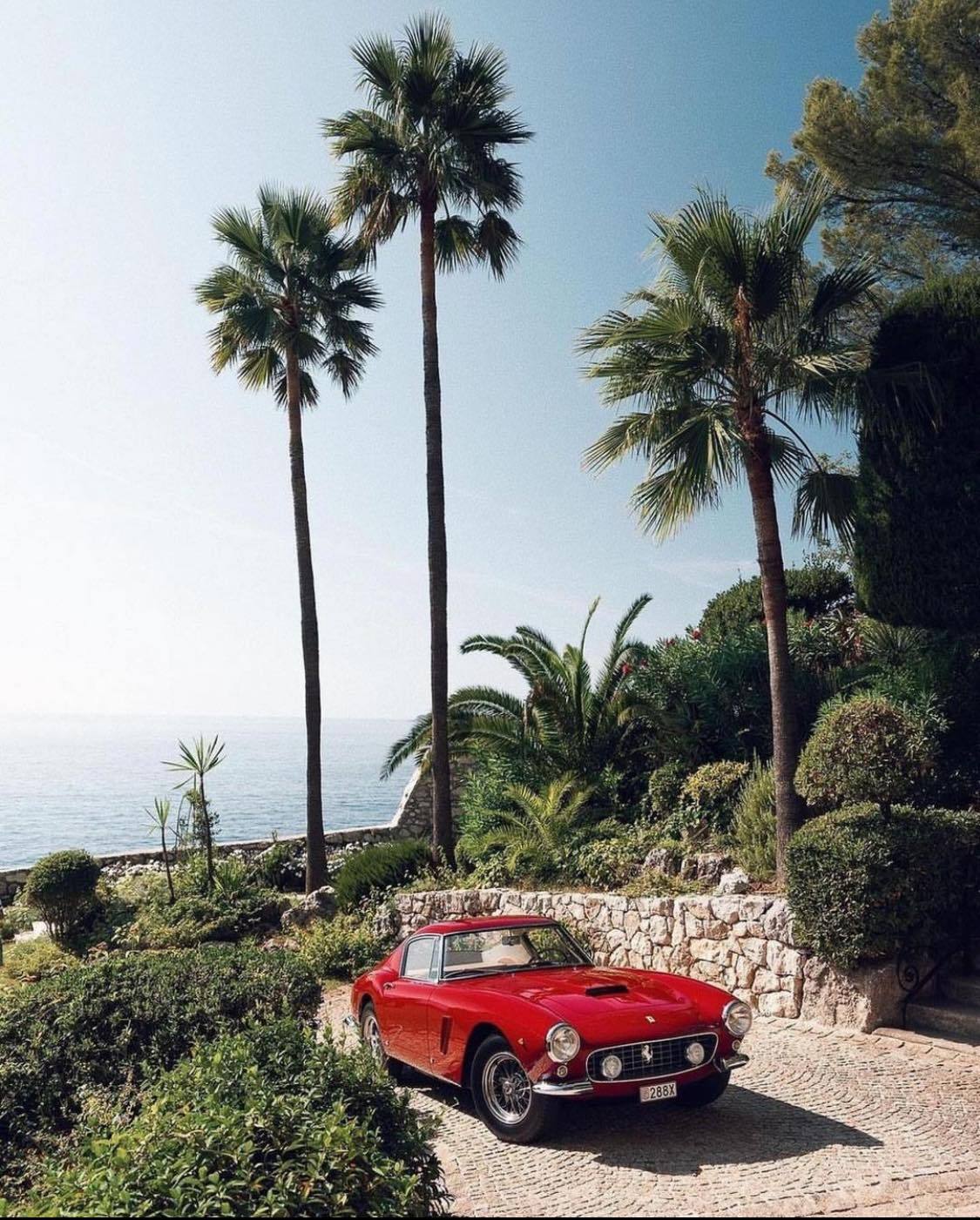 1125x1401, 273 Kb / автомобиль, классика, ретро, Ferrari, пальмы
