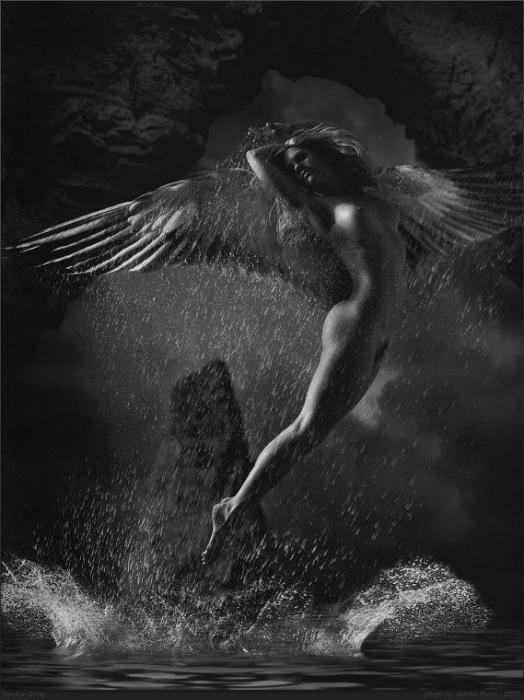 524x700, 50 Kb / ч/б, крылья, ангел, вода