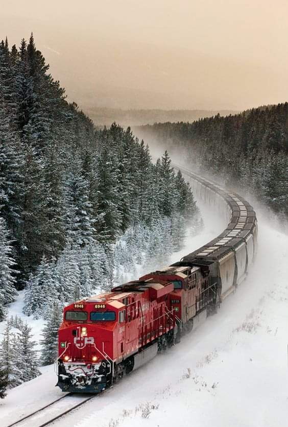 564x836, 105 Kb / Поезд, железная дорога, товарняк, лес, снег, зима