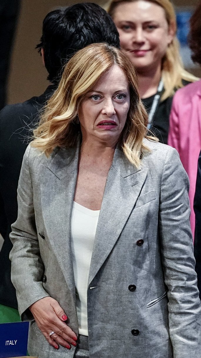 684x1221, 188 Kb / Мелони, гримаса