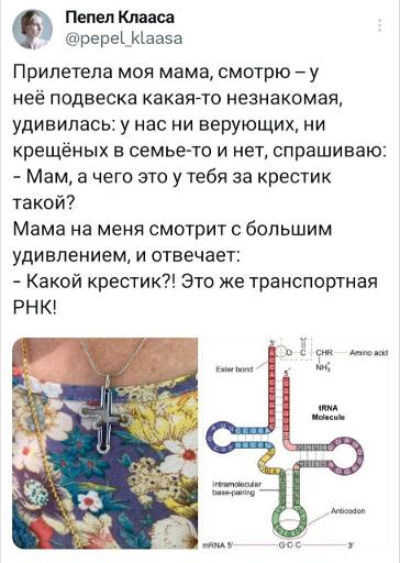 364x512, 40 Kb / кислота,биология,клетки