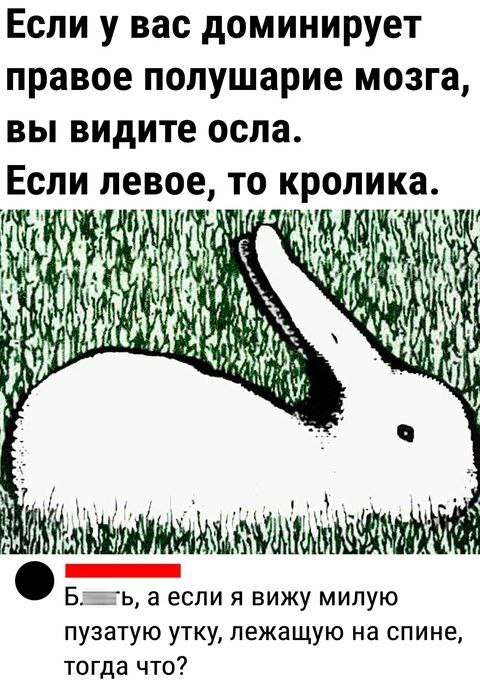 480x686, 85 Kb / Гештальт, утка, кролик, осел