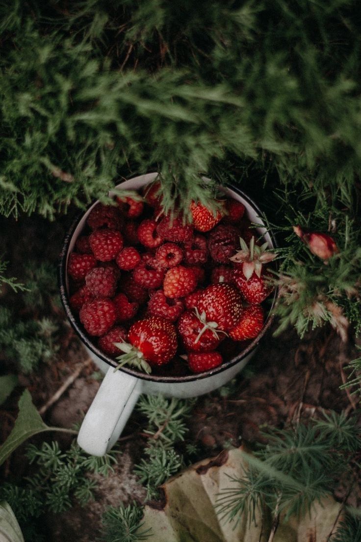 736x1103, 136 Kb / Ягода, малина, кружка