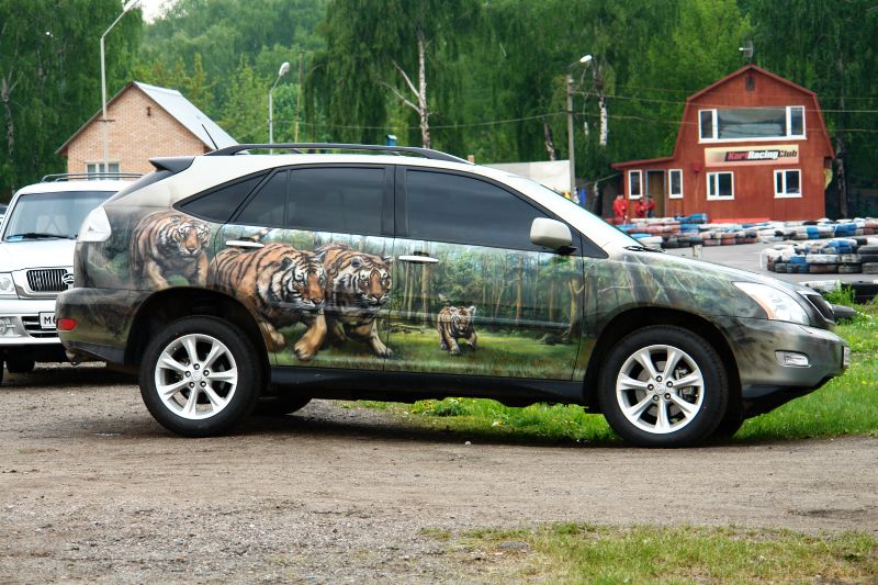 800x533, 124 Kb / тигры, аэрографика