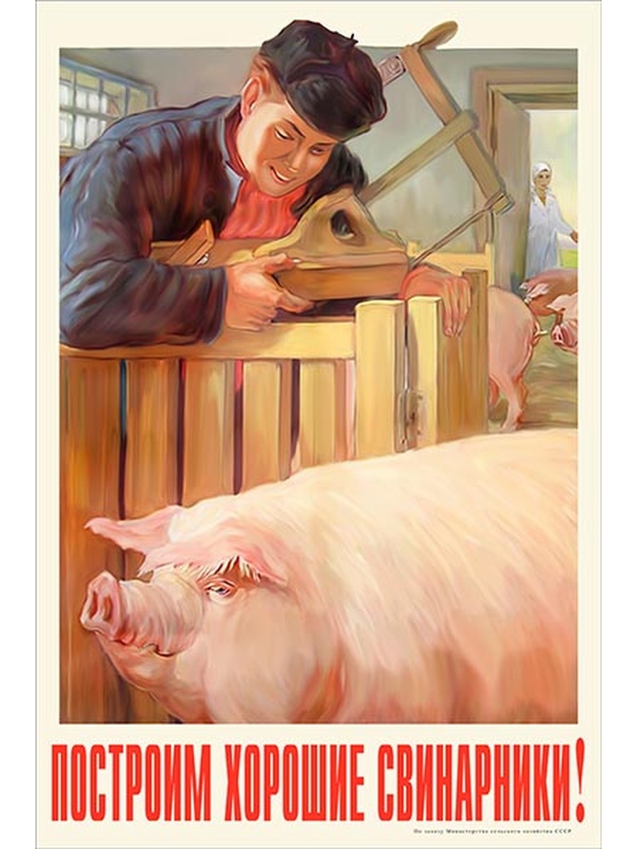 900x1200, 358 Kb / плакат, свинарник, свинья, рабочий
