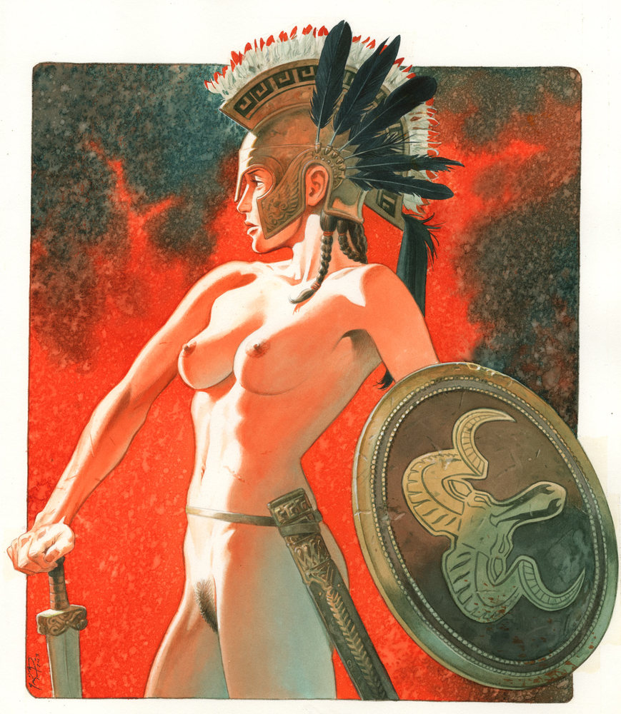 869x1000, 232 Kb / живопись, Амазонка, щит, меч, шлем, Франсуа Мивиль-Дешен