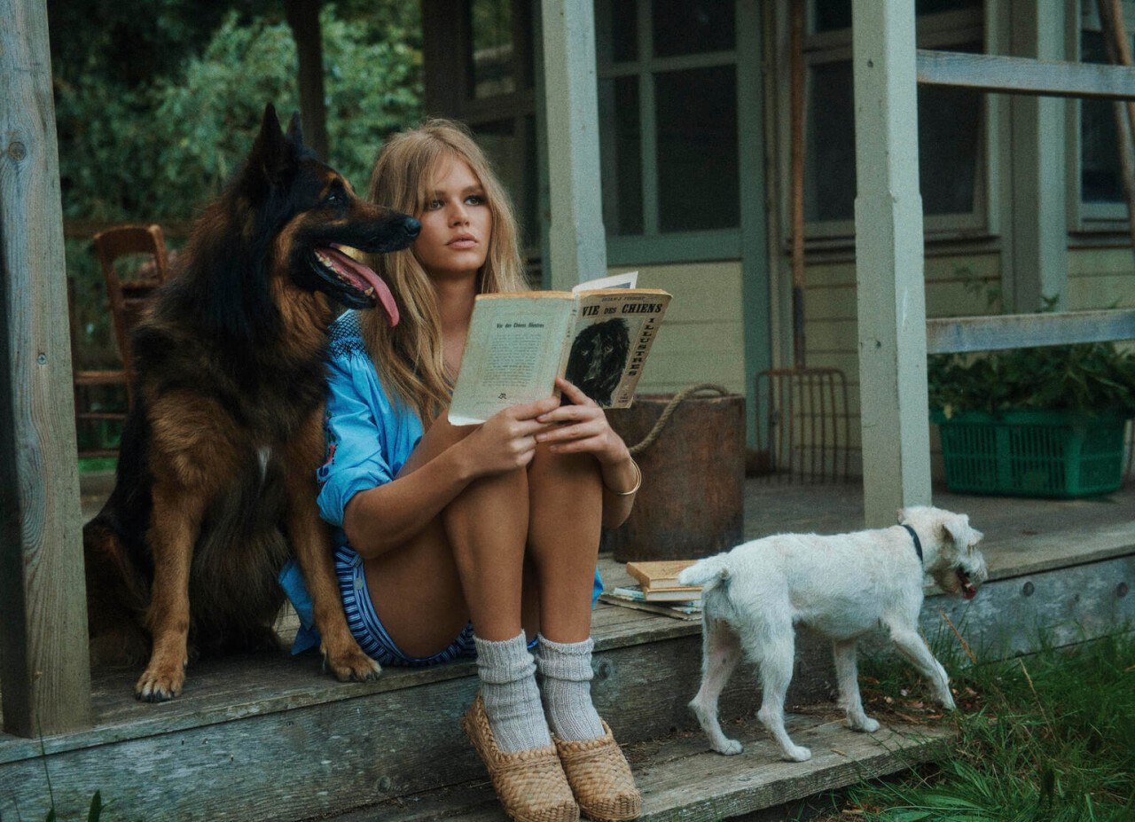 1280x927, 253 Kb / Собака, книга, ступенька, Анна Эверс, Anna Ewers