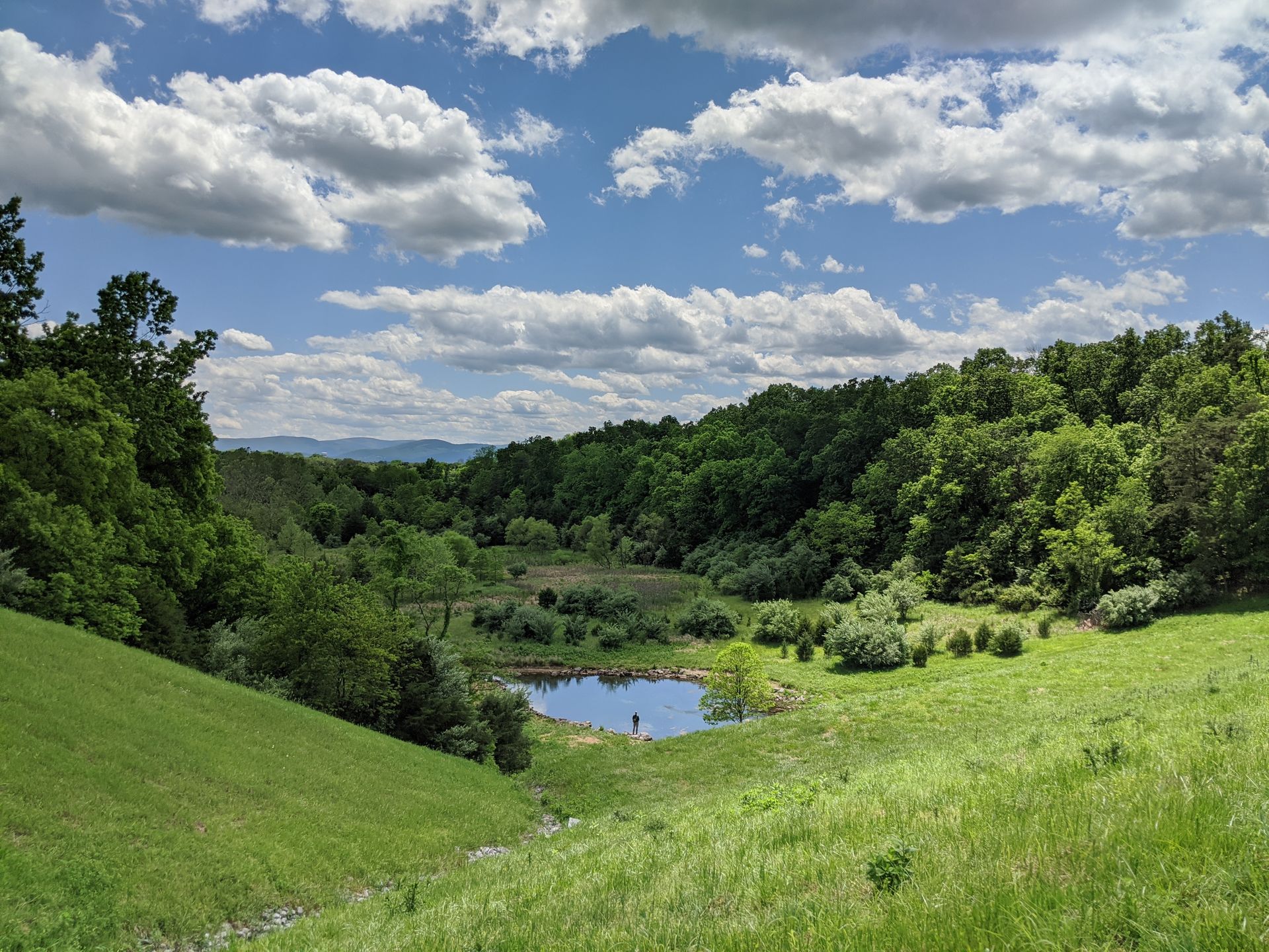 1920x1440, 598 Kb / лес, озеро, горы, холмы