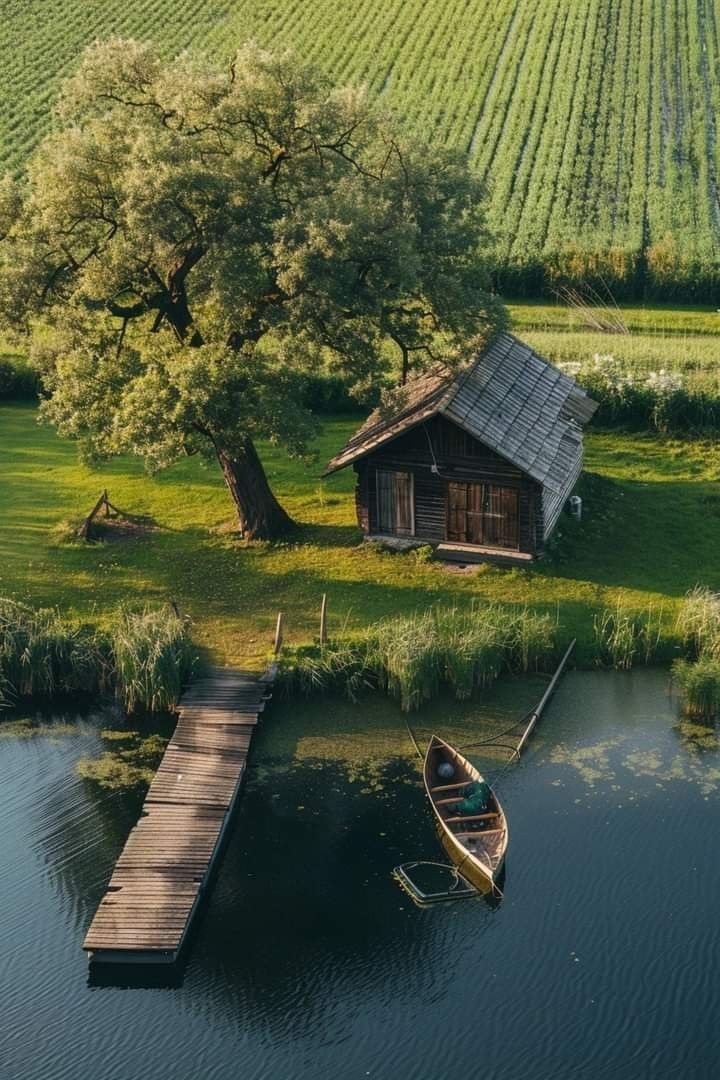 720x1080, 169 Kb / Домик в деревне, лодка, причал, поле, сеть, дерево, сарай, трава, озеро, река, пирс