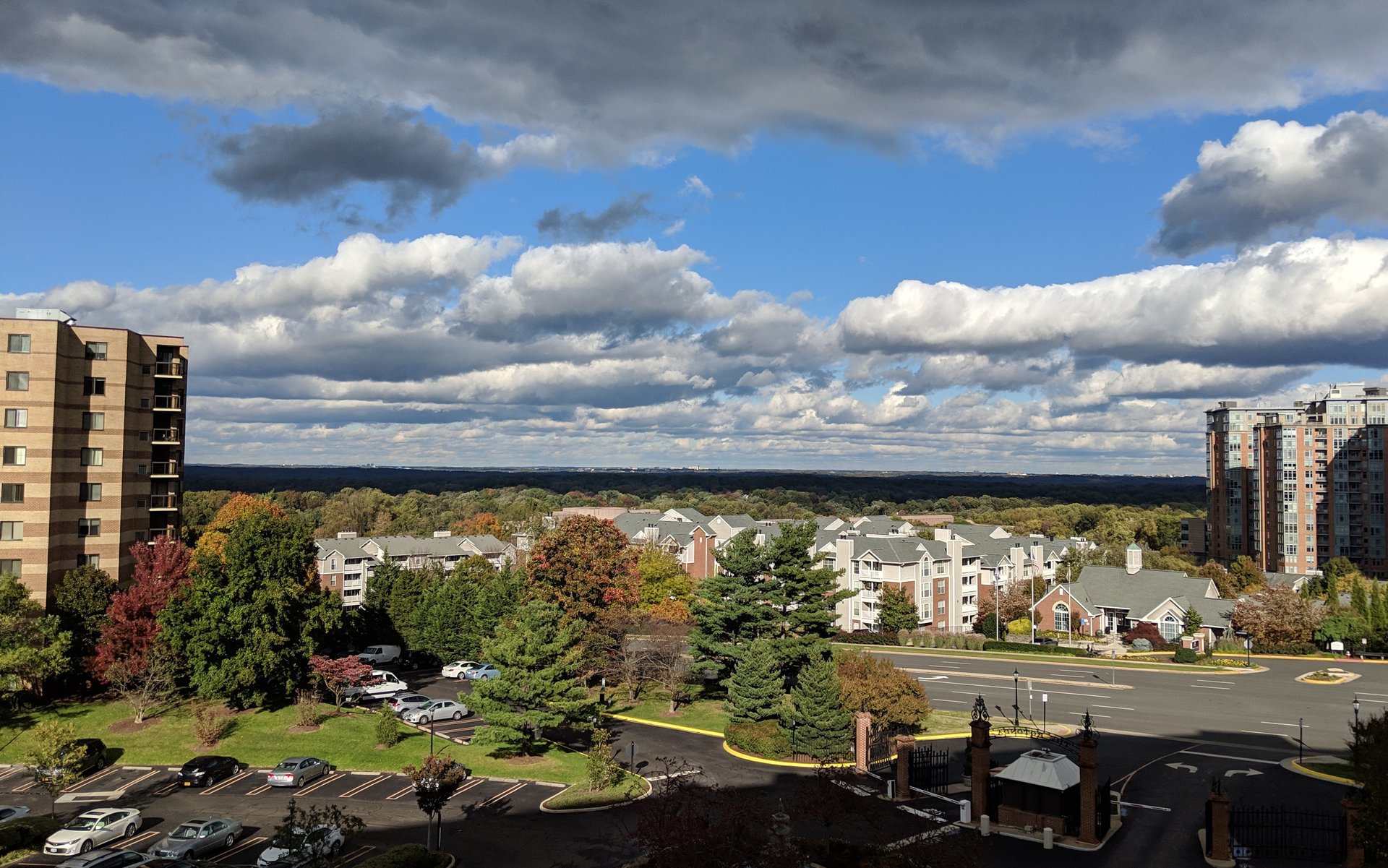 1920x1201, 499 Kb / дома, лес, облака, небо, горизонт, не завален