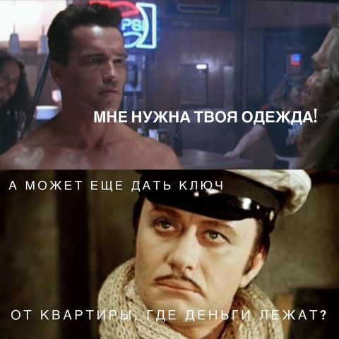 480x480, 35 Kb / schwarzenegger,миронов