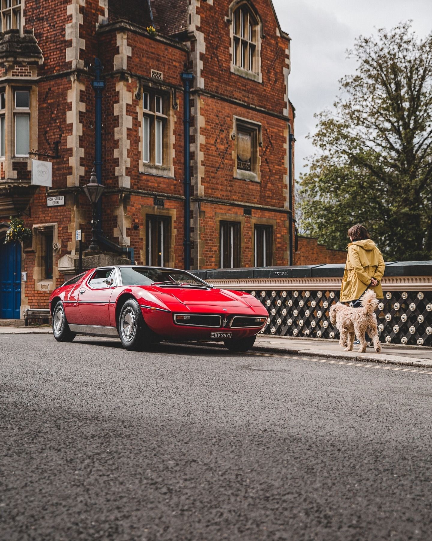 1440x1800, 519 Kb / автомобиль, классика, ретро, Maserati, собака